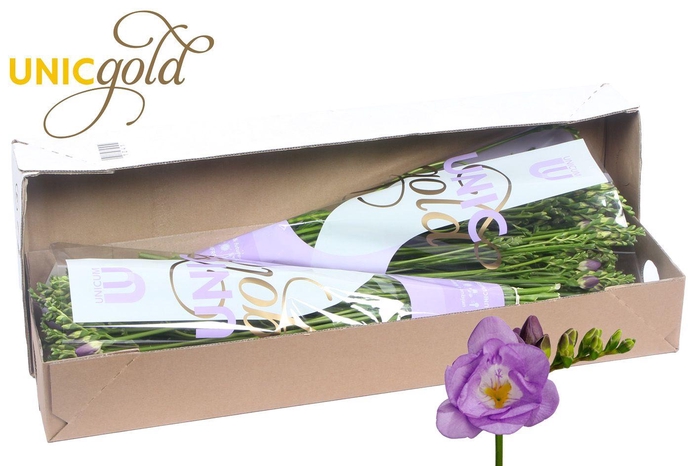 <h4>UG Barendse - Allure box</h4>