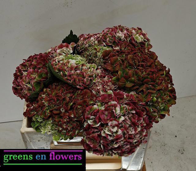 <h4>HYDR M MAG REV CL</h4>