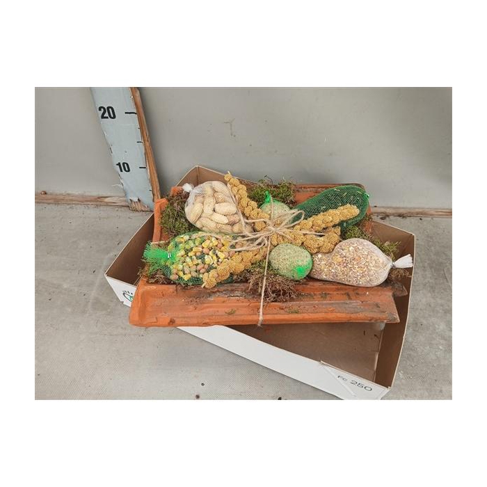 <h4>Dakpan met vogelvoer</h4>