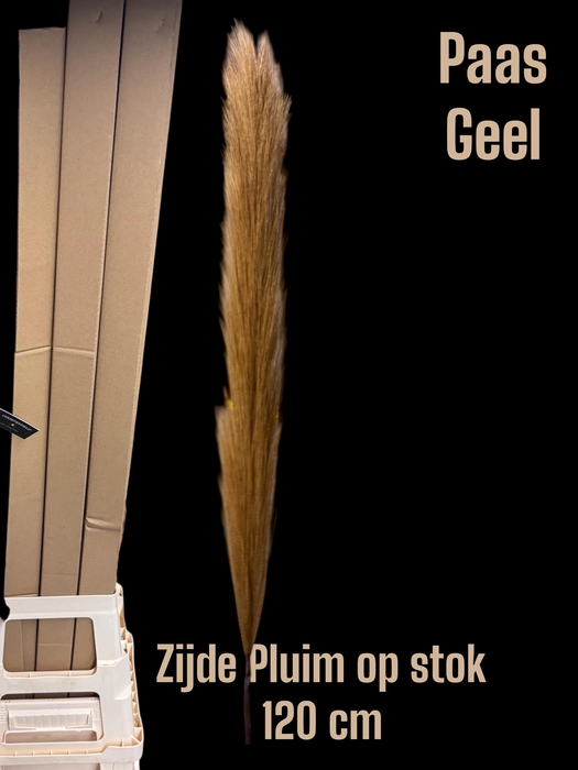 <h4>HUIS EN TUINDECO H%</h4>