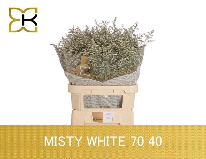 <h4>LIM MISTY WHITE</h4>