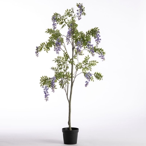 AF Wisteria pot H183cm Purple