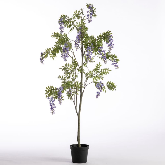 <h4>AF Wisteria pot H183cm Purple</h4>