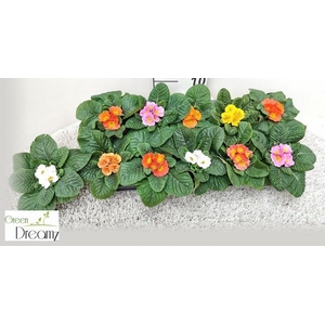 PRIM AC PARADISO GEM