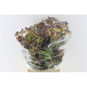 Viburnum Berry 250 Gram
