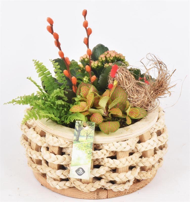 <h4>Hout rond met touw 20cm</h4>