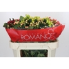 Hypericum Rainbow Romance Spray