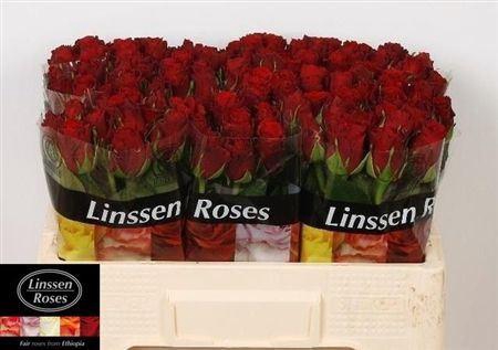 <h4>R Gr Upper Class</h4>