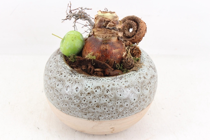 <h4>arr4 Amaryllis MB - Ker. luxe bolpot 338/3</h4>
