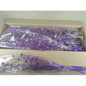 DF Lavatera Bs Purple 120g