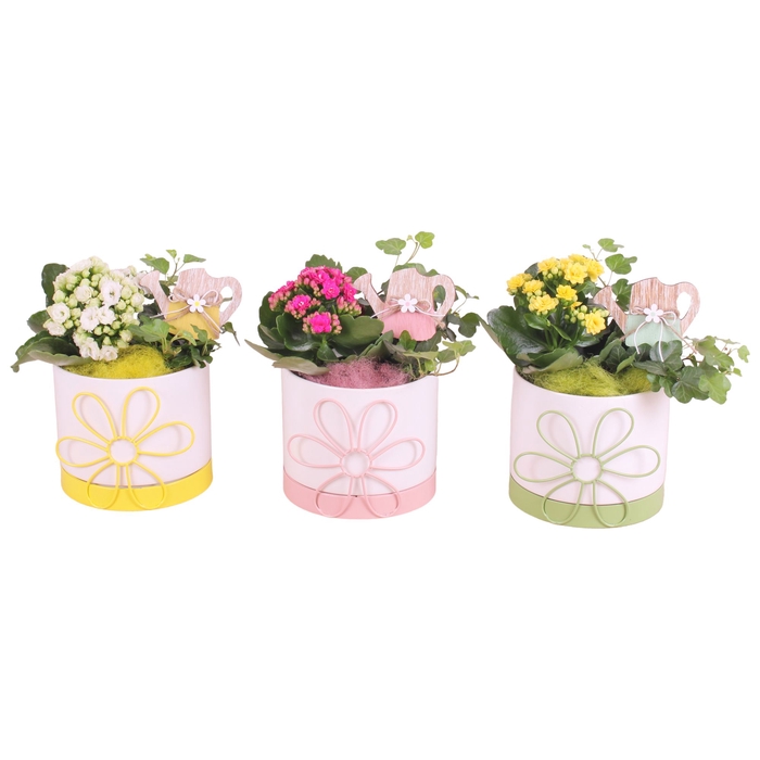 <h4>Opm Summer Arr. Indoor Ceramic Flowerframe</h4>