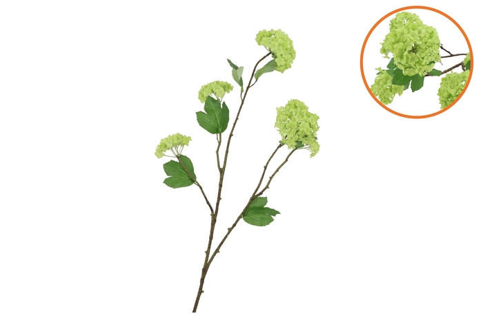 Silk Viburnum Green 69cm