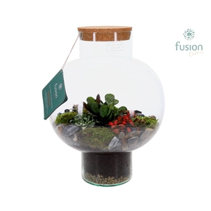 Green Bottle Laura Large met Terrarium arrangement