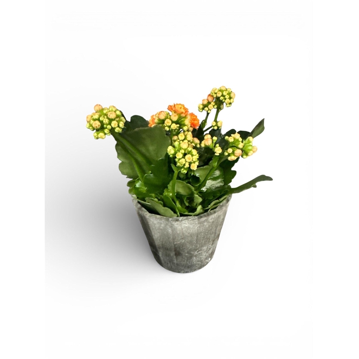 <h4>Kal Ge R Flow Stinna pot</h4>