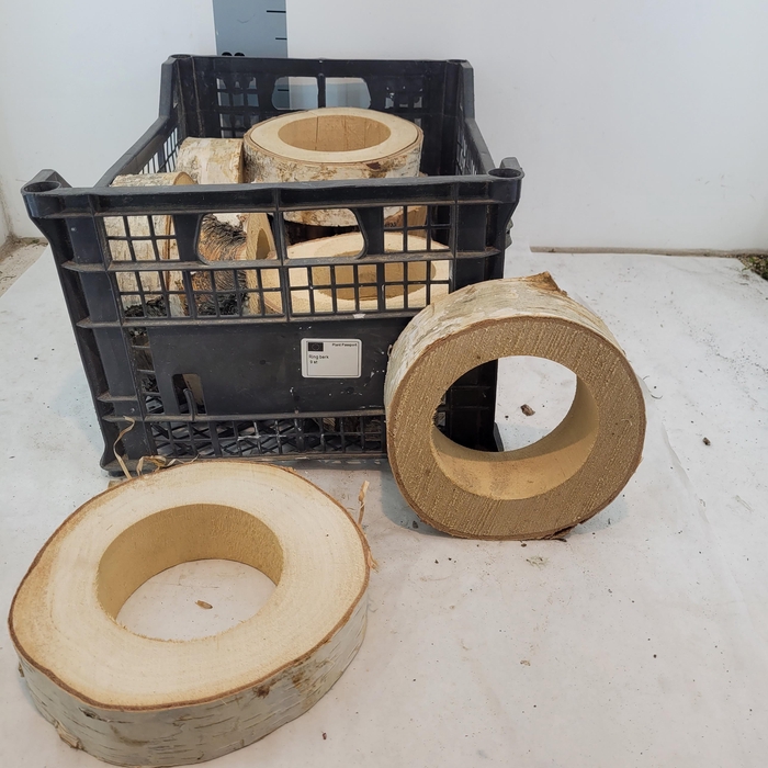 <h4>HUIS EN TUINDECO OV</h4>