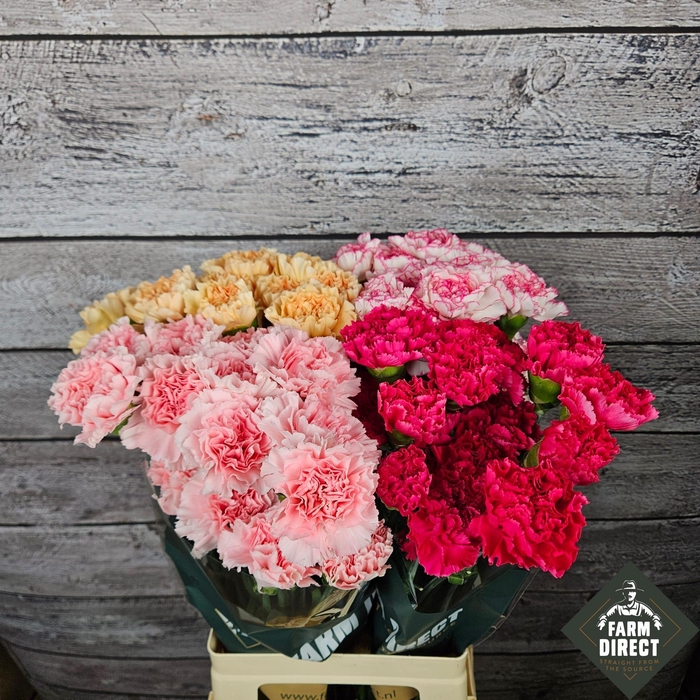 <h4>DI ST GEMENGD IN FUST</h4>