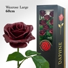Wax Rose L Bordeaux 60cm