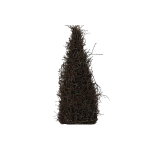 Cone Bonsai H110D35