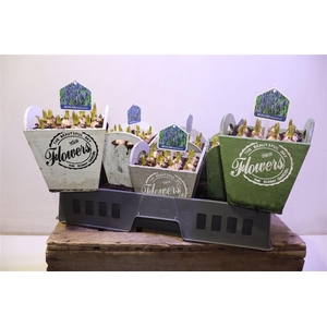 Arr Muscari In Hoog Hengsel Kistje