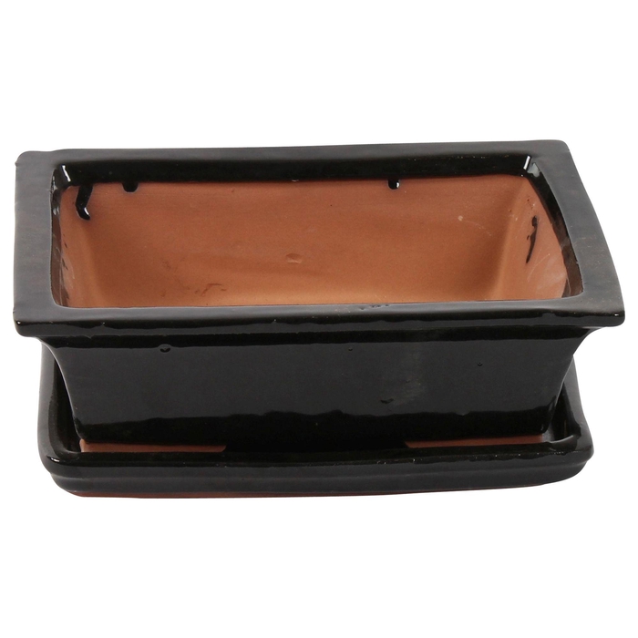 <h4>Bonsai accesoires Potset with saucer Ø25cm Black</h4>