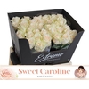 R Gr Sweet Caroline