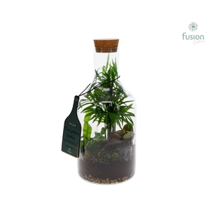 Green Bottle H33 klein met Groen planten