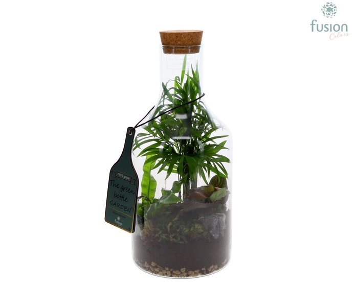 <h4>Green Bottle H33 klein met Groen planten</h4>