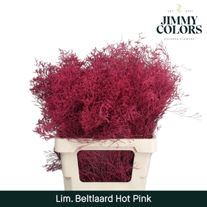 Lim Bel L70 Hot Pink