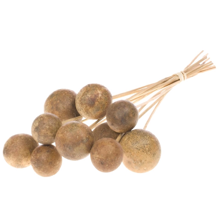 <h4>Bellani On Stem 10pc Natural</h4>