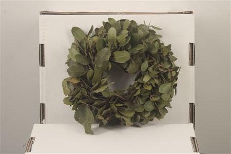 <h4>Wreath Steeneik Naturel 20cm</h4>