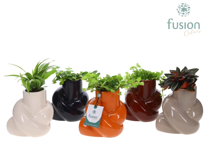 <h4>Keramiek pot met Groen planten mix</h4>