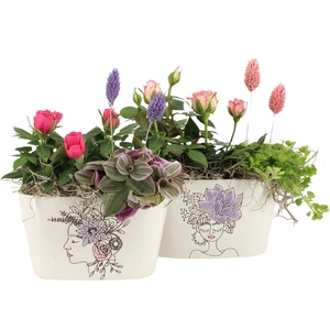 21704: Lovess arrangement