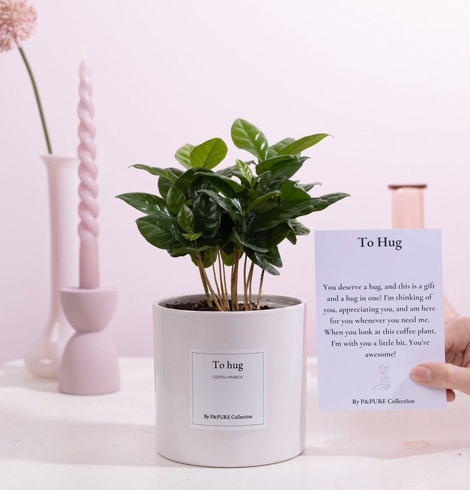<h4>Coffea Arabica Gift "To hug" WITH GREETING CARD!!!</h4>