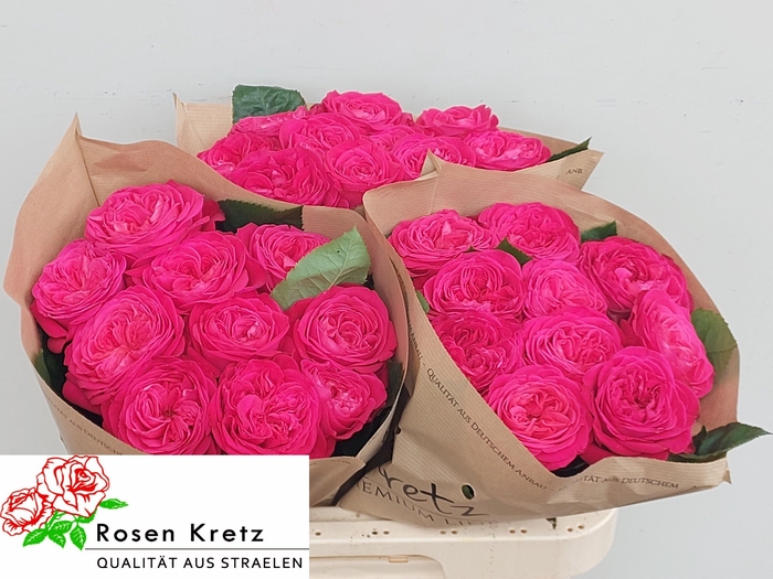 <h4>R GR GIRLFRIEND</h4>