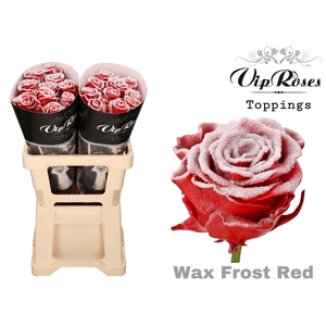 R GR WAX FROST RED (60CM)