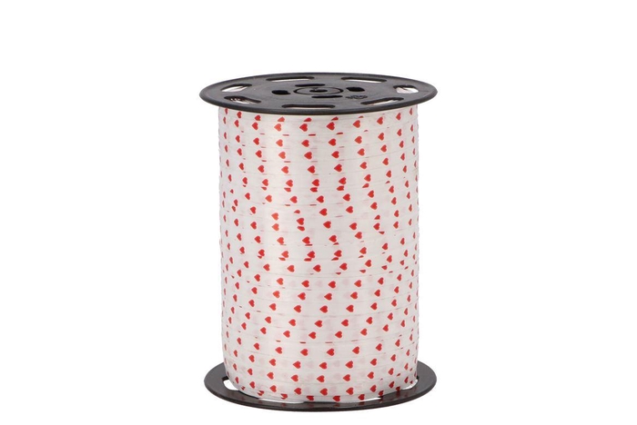 <h4>Ribbon Curl Hart 5mm 500mtr Nm</h4>
