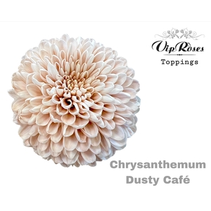 Chr G Dusty Cafe