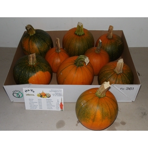 CUC HALLOWEEN