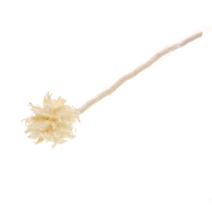 Plumosum Single Pc Branch Bleached White