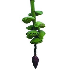 Musa Prayer Hand