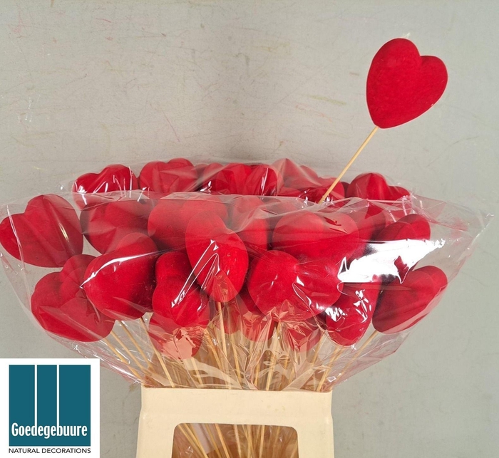 <h4>HARTJE OP STOK H%</h4>