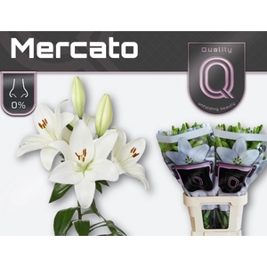 LI LA MERCATO