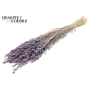 Avena Premium per bunch Frosted Milka