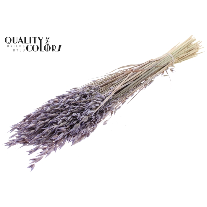 <h4>Avena Premium per bunch Frosted Milka</h4>