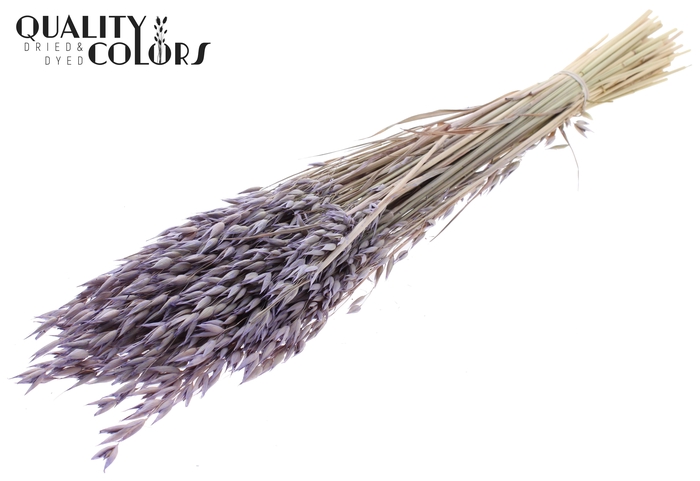 Avena Premium per bunch Frosted Milka