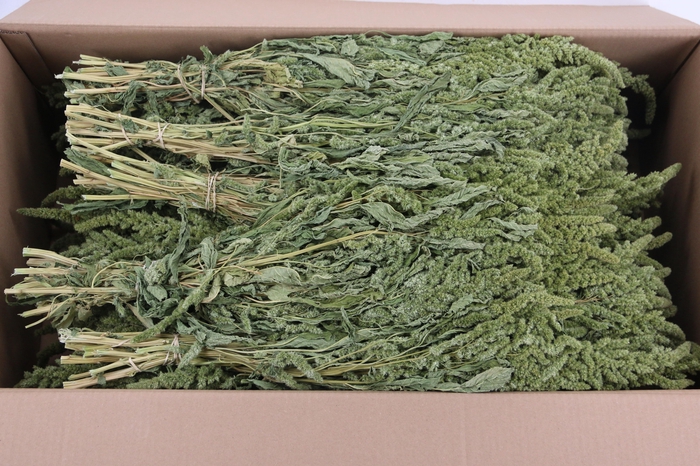 <h4>DF Amaranthus Green Bs 260g</h4>