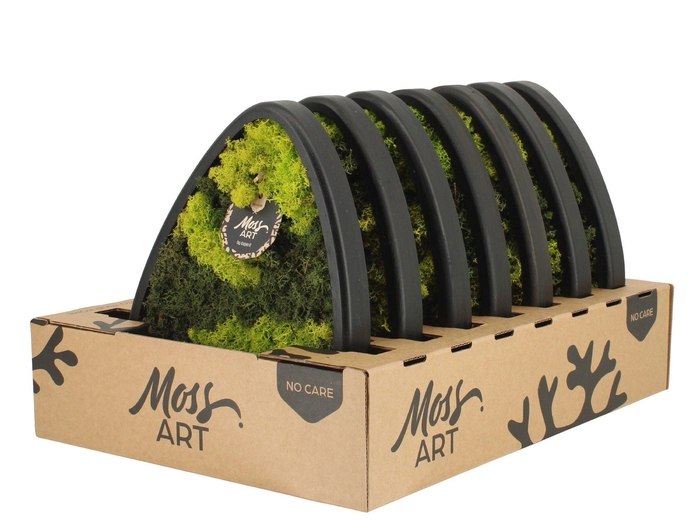 <h4>90782: Moss Art arrangement D33</h4>