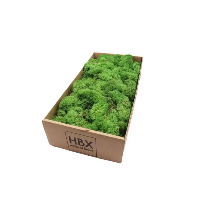 <h4>Moss Reindeer 500g</h4>