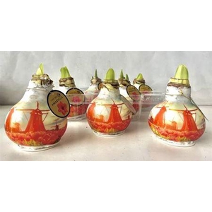 Bloembol Hipp Windmill & Tulips