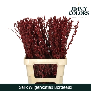 Salix Katjes L70 Bordeaux